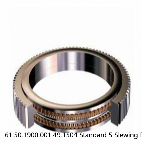 61.50.1900.001.49.1504 Standard 5 Slewing Ring Bearings