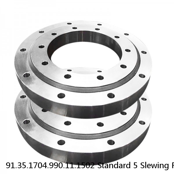 91.35.1704.990.11.1502 Standard 5 Slewing Ring Bearings