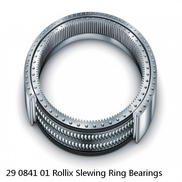 29 0841 01 Rollix Slewing Ring Bearings