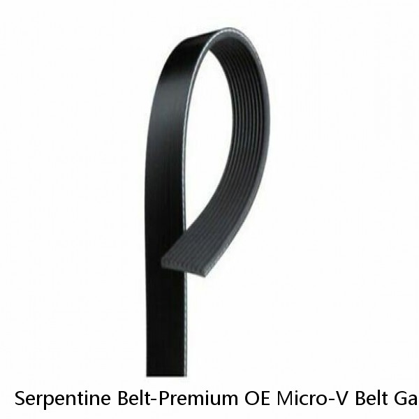Serpentine Belt-Premium OE Micro-V Belt Gates K100816    10PK2075