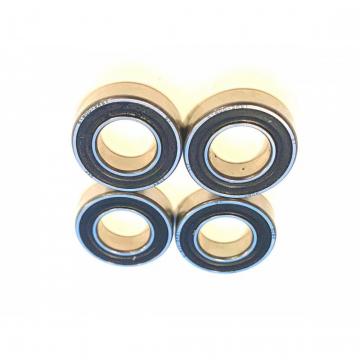 Deep Groove Ball Bearing 6000/6200/6300/6301 2RS/Zz for Motorcycle Industry
