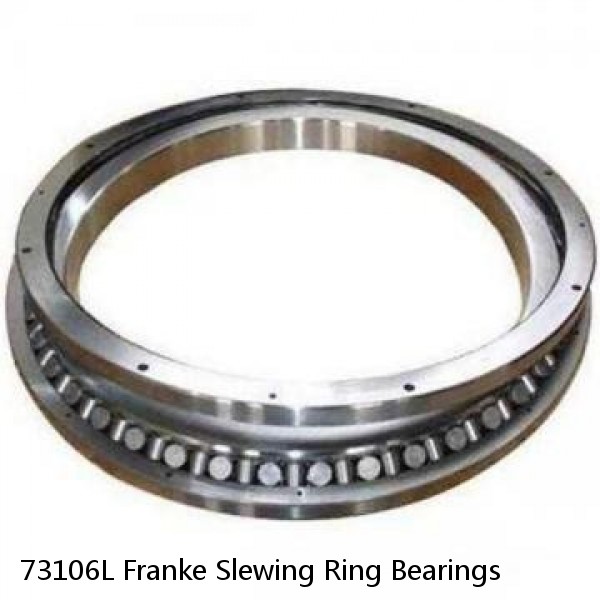 73106L Franke Slewing Ring Bearings