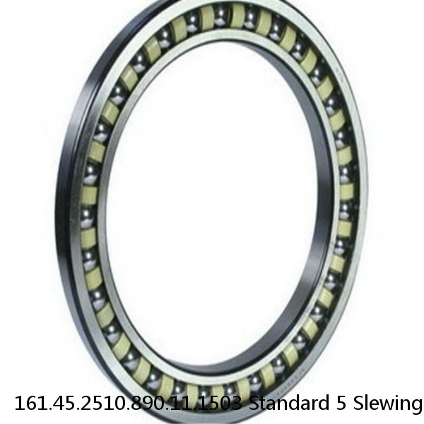 161.45.2510.890.11.1503 Standard 5 Slewing Ring Bearings