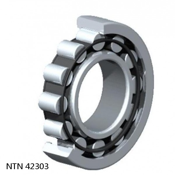 42303 NTN Cylindrical Roller Bearing