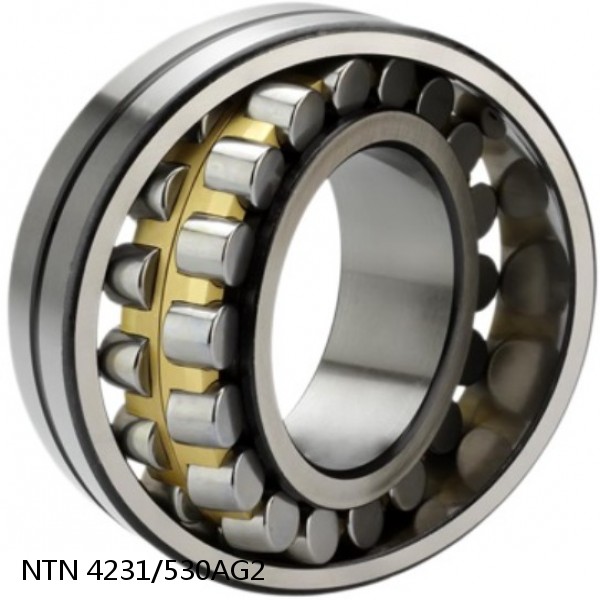 4231/530AG2 NTN Cylindrical Roller Bearing