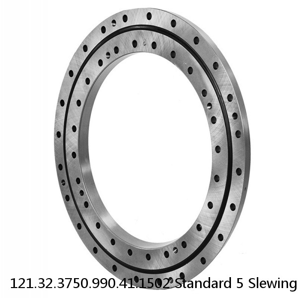 121.32.3750.990.41.1502 Standard 5 Slewing Ring Bearings