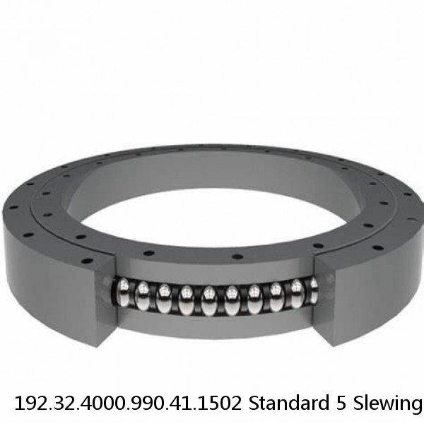 192.32.4000.990.41.1502 Standard 5 Slewing Ring Bearings