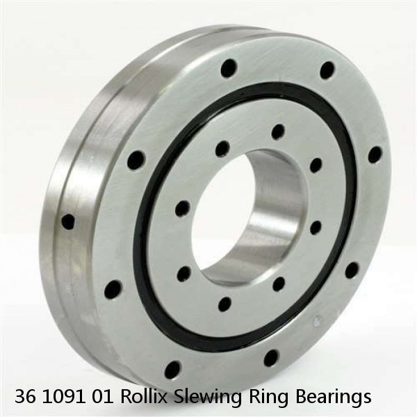 36 1091 01 Rollix Slewing Ring Bearings