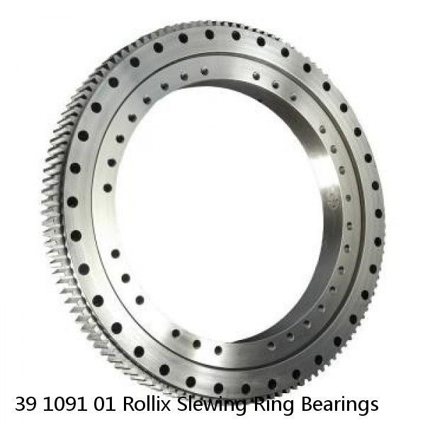 39 1091 01 Rollix Slewing Ring Bearings