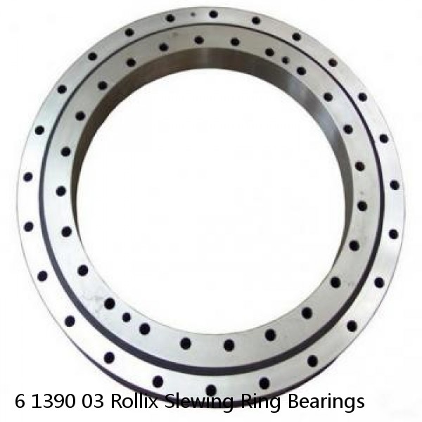 6 1390 03 Rollix Slewing Ring Bearings