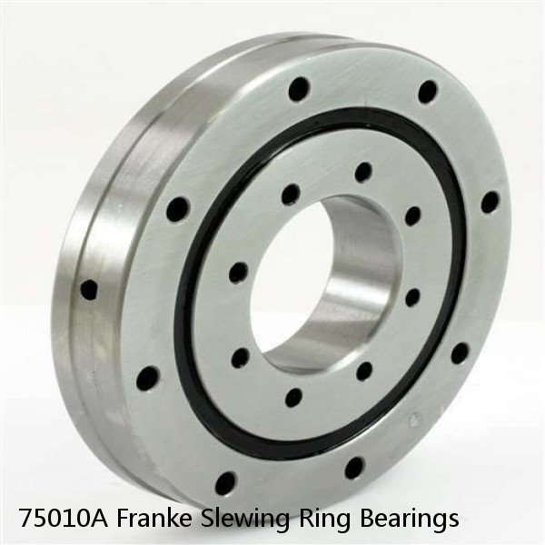 75010A Franke Slewing Ring Bearings