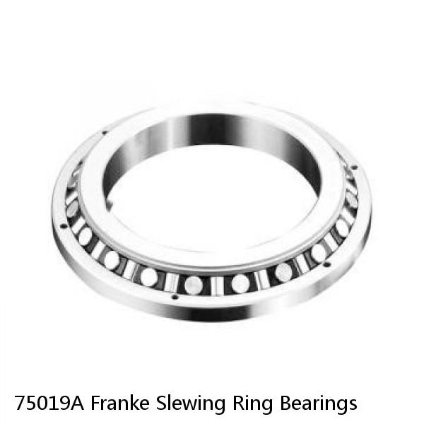 75019A Franke Slewing Ring Bearings