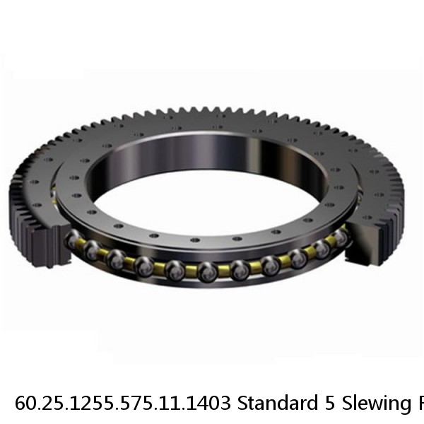 60.25.1255.575.11.1403 Standard 5 Slewing Ring Bearings