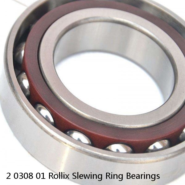 2 0308 01 Rollix Slewing Ring Bearings