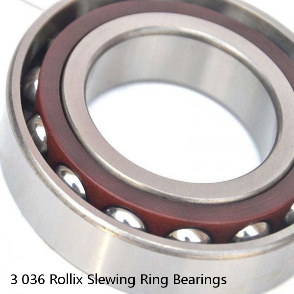 3 036 Rollix Slewing Ring Bearings