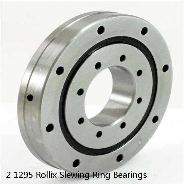 2 1295 Rollix Slewing Ring Bearings