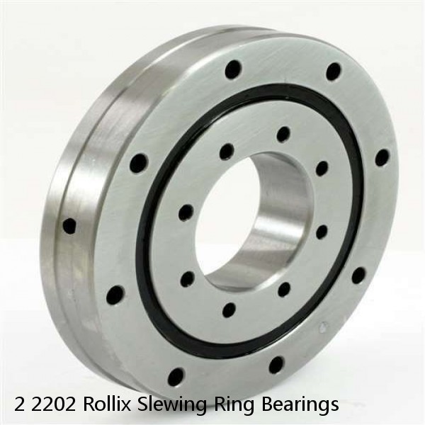 2 2202 Rollix Slewing Ring Bearings