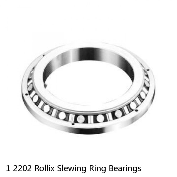 1 2202 Rollix Slewing Ring Bearings