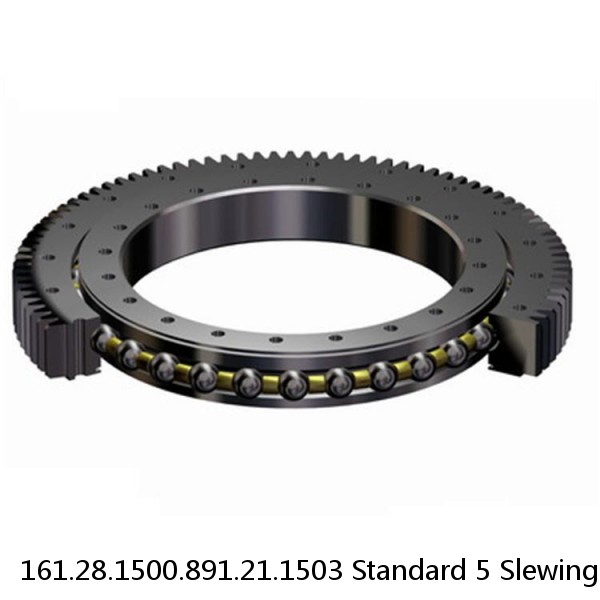 161.28.1500.891.21.1503 Standard 5 Slewing Ring Bearings