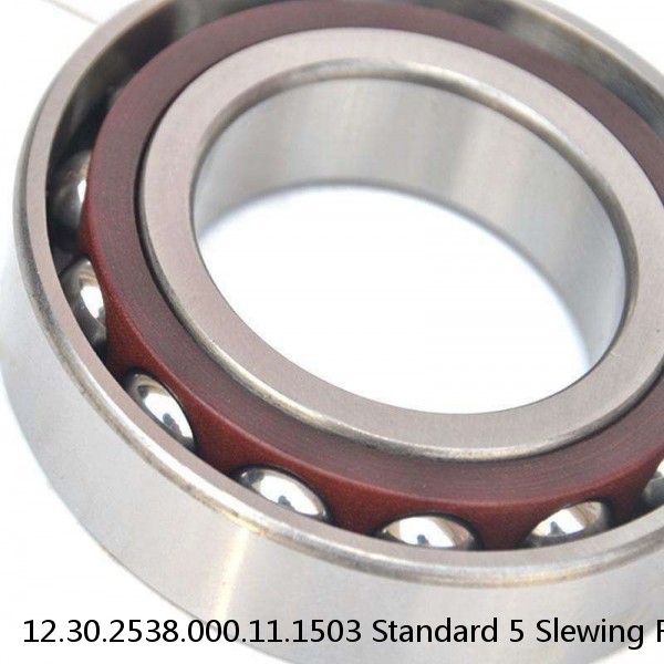 12.30.2538.000.11.1503 Standard 5 Slewing Ring Bearings