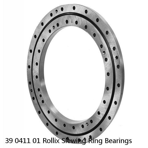 39 0411 01 Rollix Slewing Ring Bearings