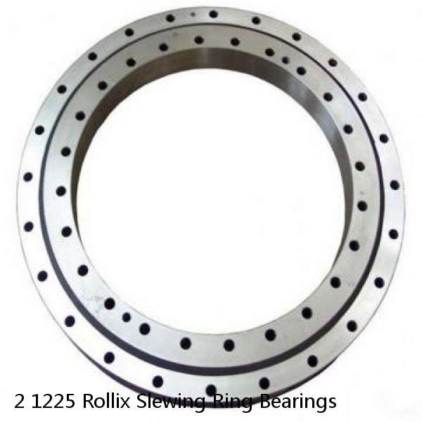 2 1225 Rollix Slewing Ring Bearings