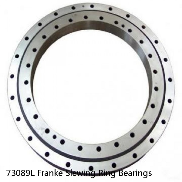 73089L Franke Slewing Ring Bearings