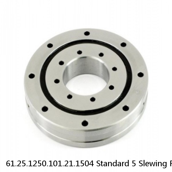 61.25.1250.101.21.1504 Standard 5 Slewing Ring Bearings