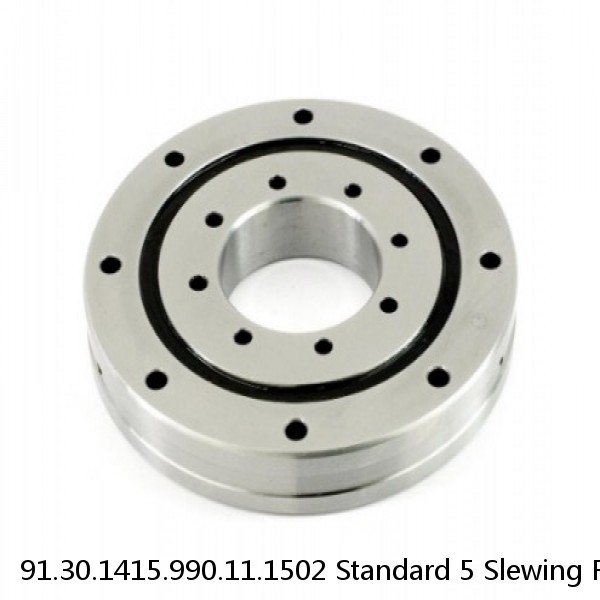 91.30.1415.990.11.1502 Standard 5 Slewing Ring Bearings