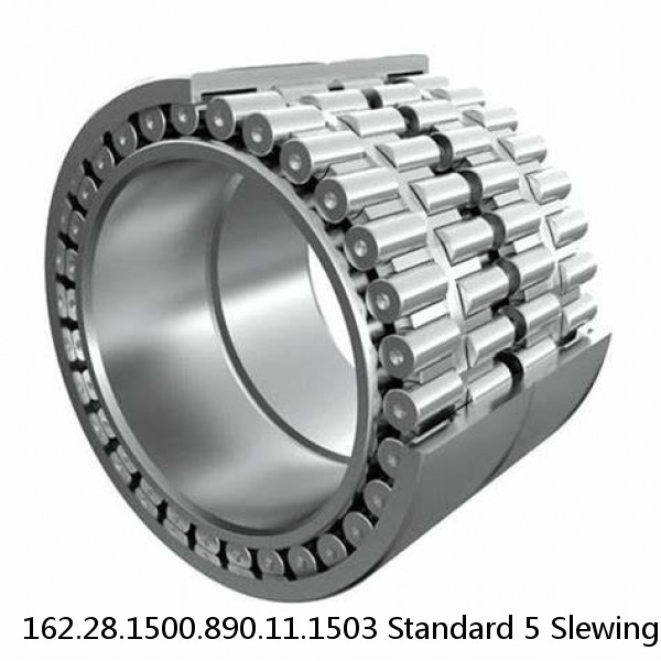 162.28.1500.890.11.1503 Standard 5 Slewing Ring Bearings