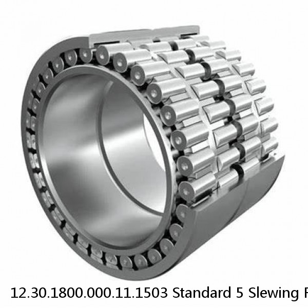 12.30.1800.000.11.1503 Standard 5 Slewing Ring Bearings