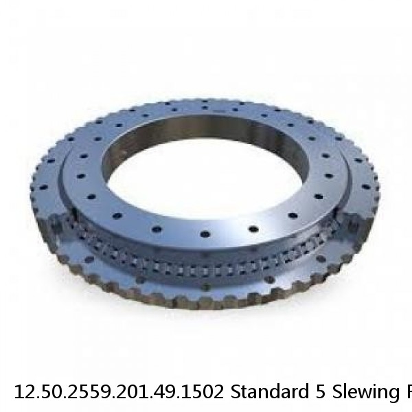 12.50.2559.201.49.1502 Standard 5 Slewing Ring Bearings