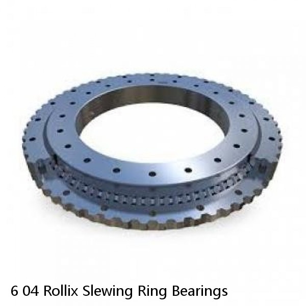 6 04 Rollix Slewing Ring Bearings