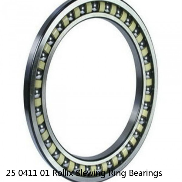 25 0411 01 Rollix Slewing Ring Bearings