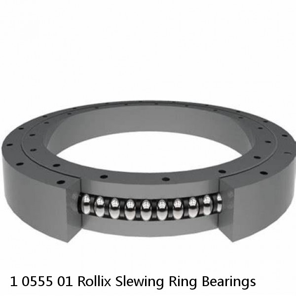 1 0555 01 Rollix Slewing Ring Bearings