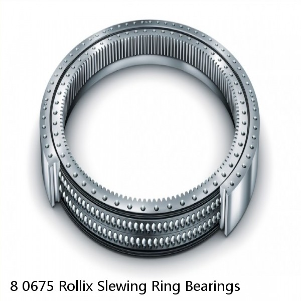 8 0675 Rollix Slewing Ring Bearings