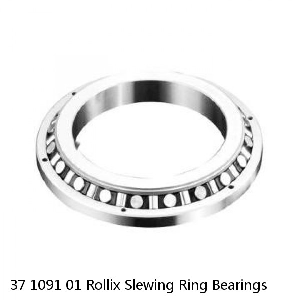 37 1091 01 Rollix Slewing Ring Bearings