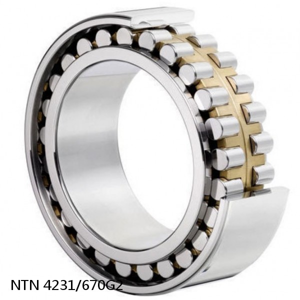 4231/670G2 NTN Cylindrical Roller Bearing