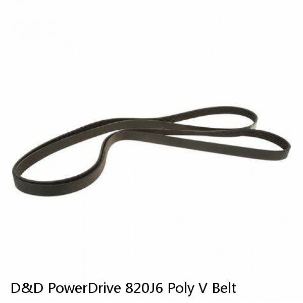 D&D PowerDrive 820J6 Poly V Belt